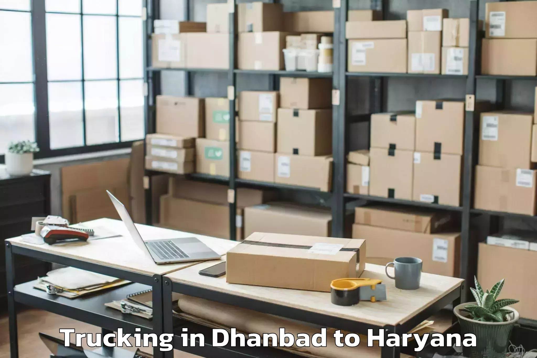 Easy Dhanbad to Mahendragarh Trucking Booking